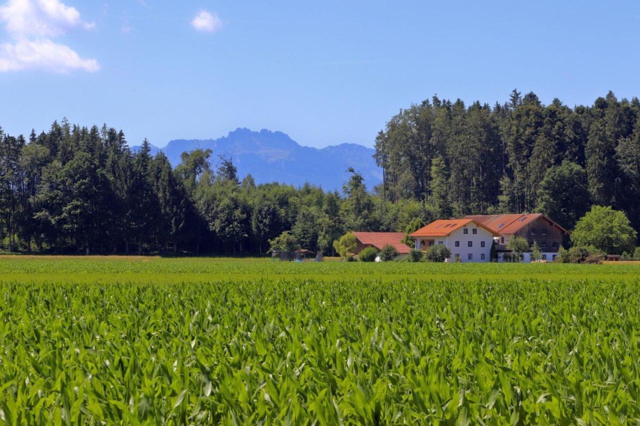 Beim Lenglacher Chieming Exteriör bild